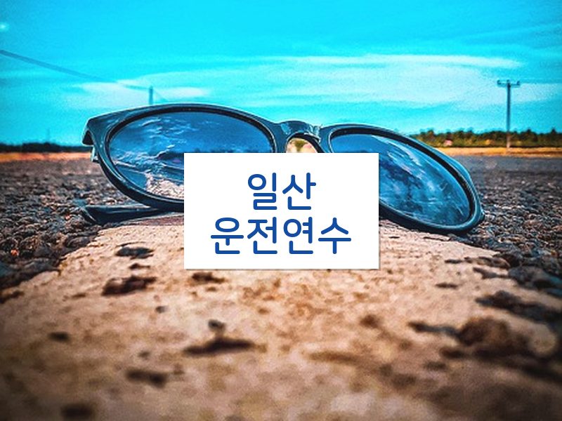 일산운전연수 후기