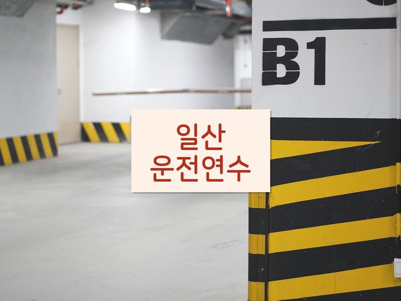 일산운전연수 후기