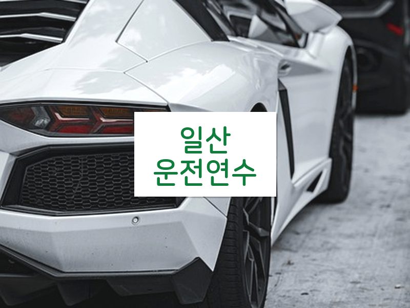 일산운전연수 후기
