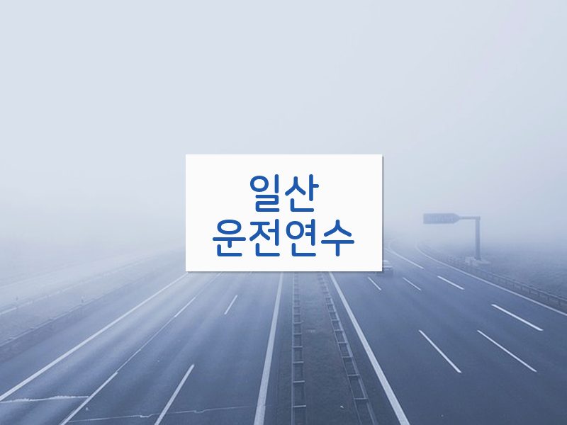 일산운전연수 후기