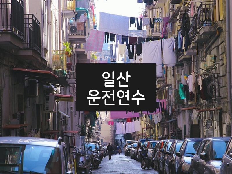 일산운전연수 후기