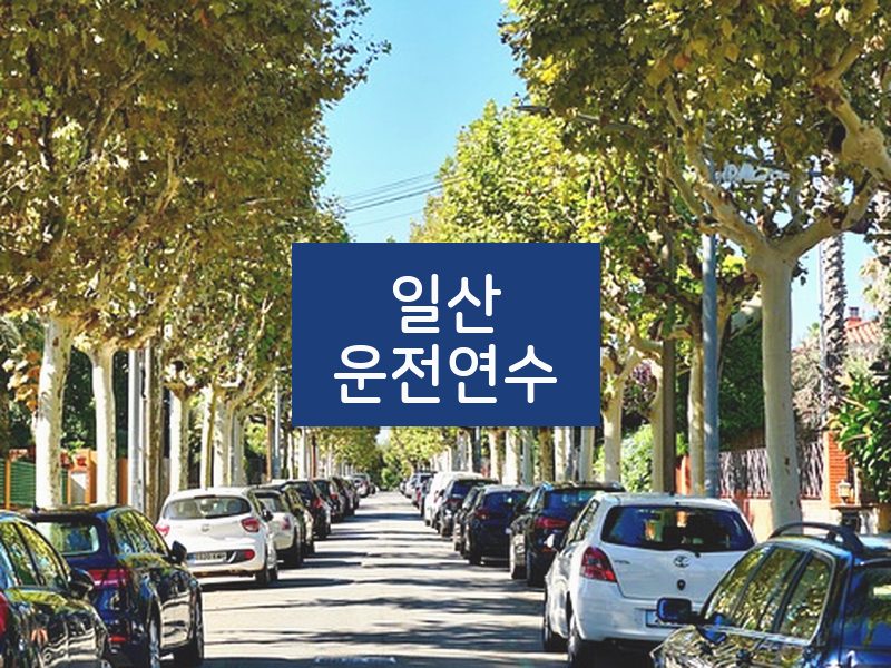 일산운전연수 후기