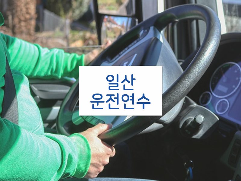 일산운전연수 후기