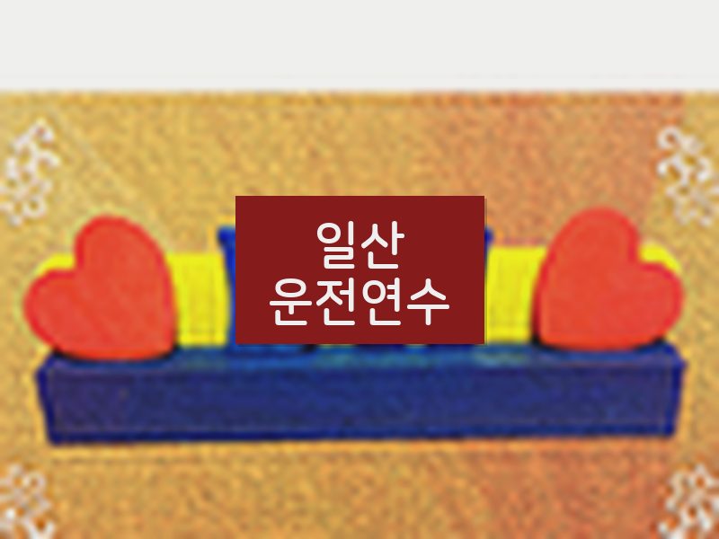 일산운전연수 후기