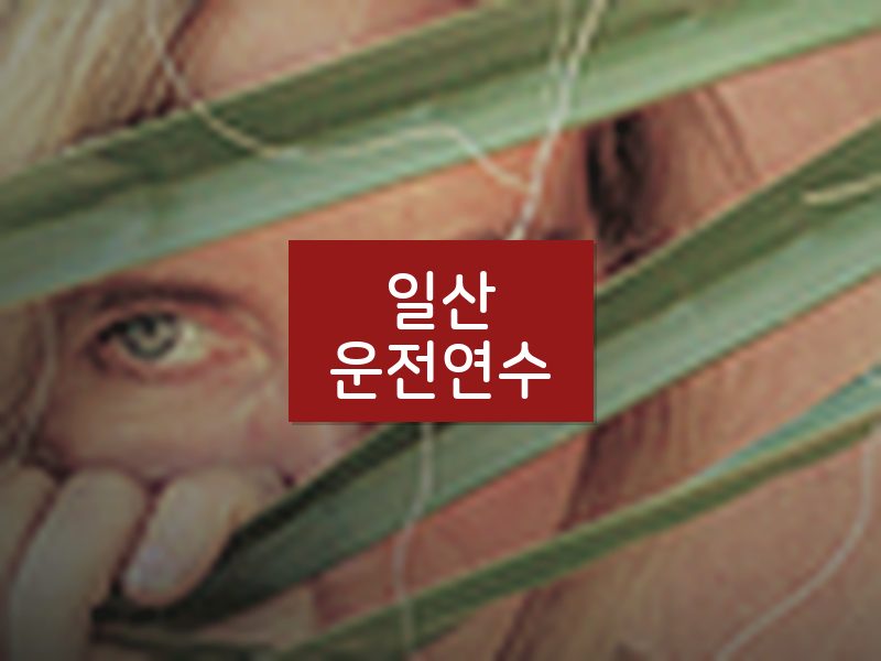 일산운전연수 후기