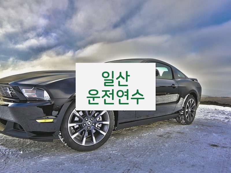 일산운전연수 후기