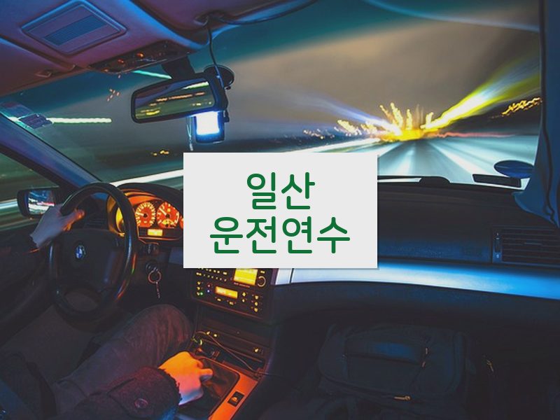 일산운전연수 후기
