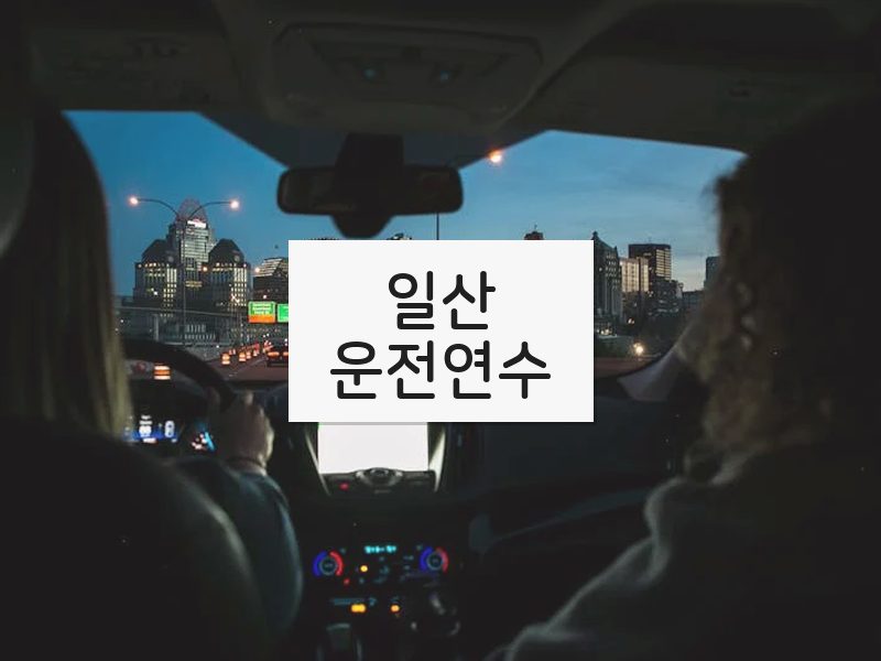 일산운전연수 후기