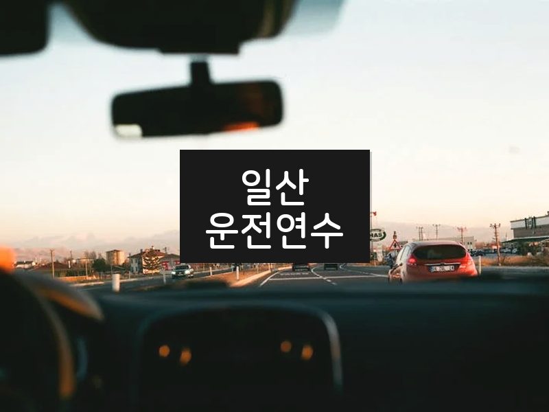 일산운전연수 후기