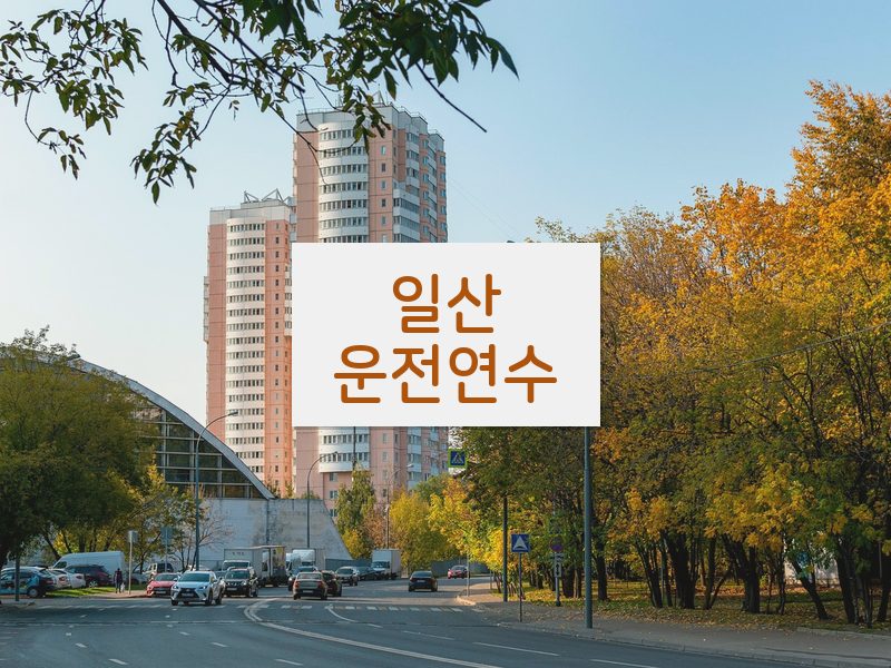 일산운전연수 후기