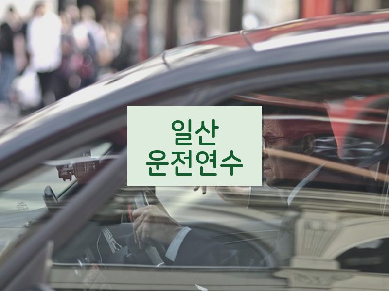 일산운전연수 후기