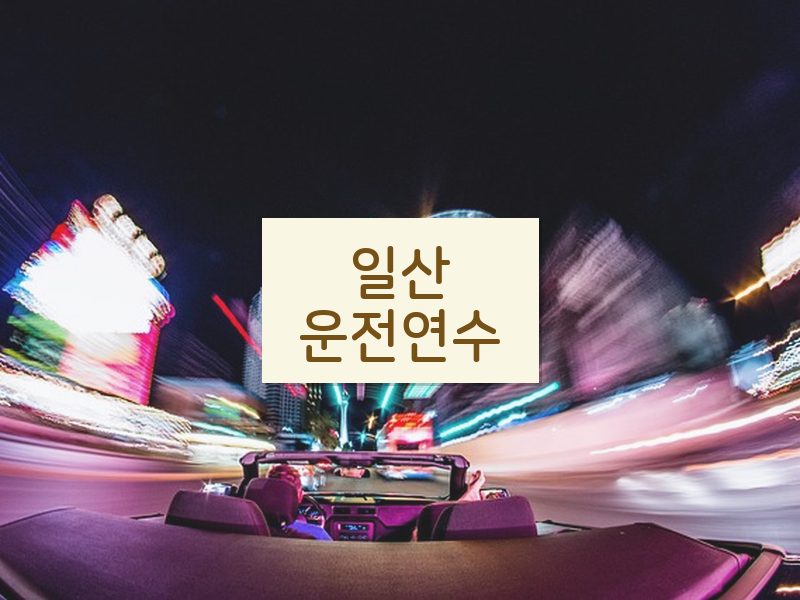 일산운전연수 후기