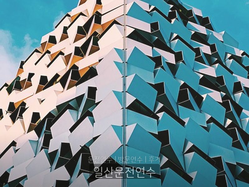 일산운전연수 후기