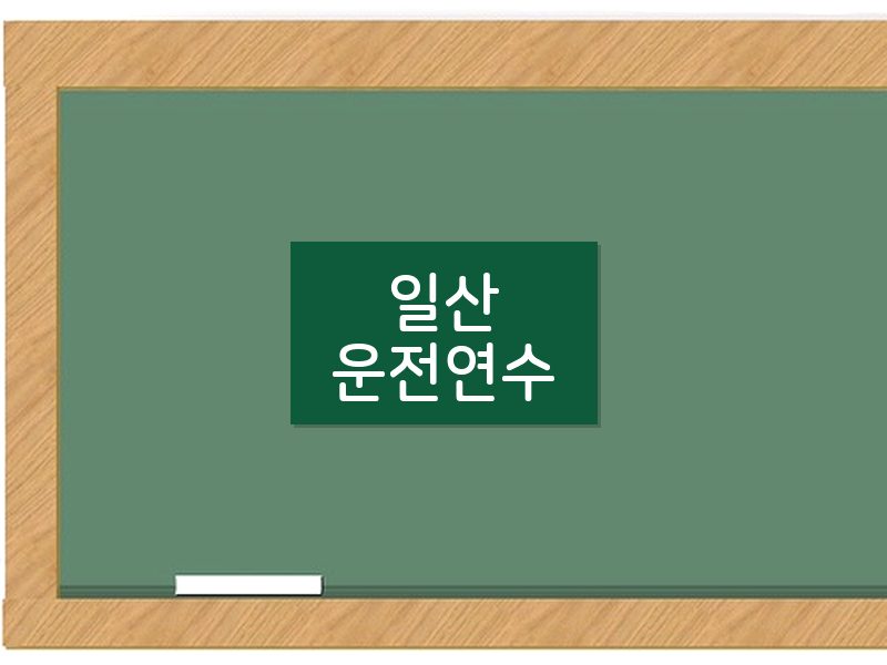 일산운전연수 후기