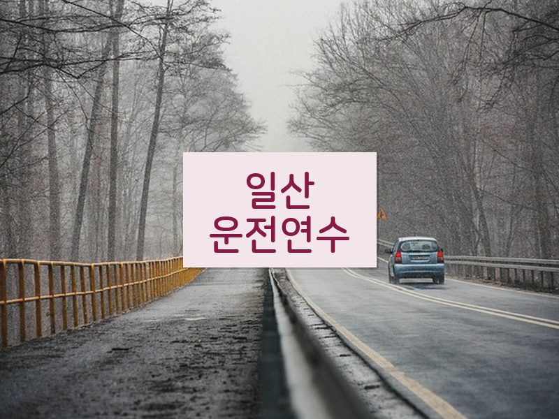 일산운전연수 후기