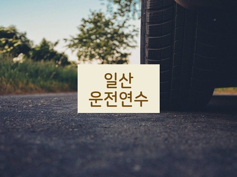 일산운전연수 후기