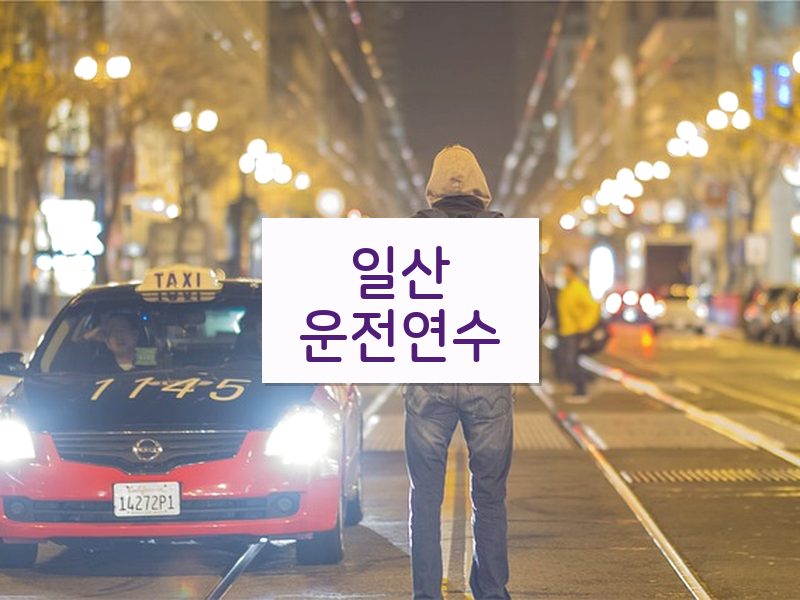 일산운전연수 후기