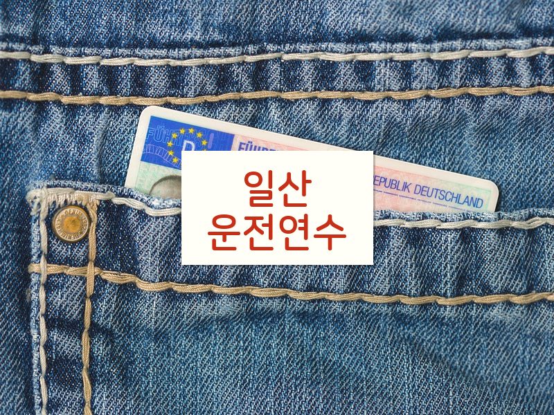 일산운전연수 후기