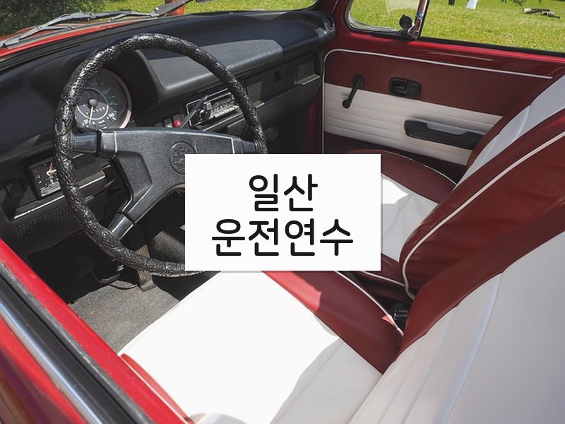 일산운전연수 후기