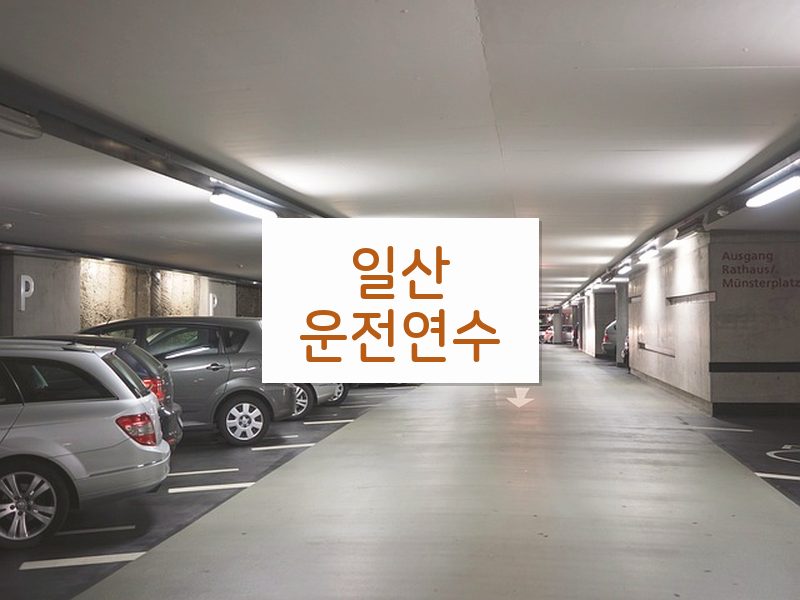 일산운전연수 후기