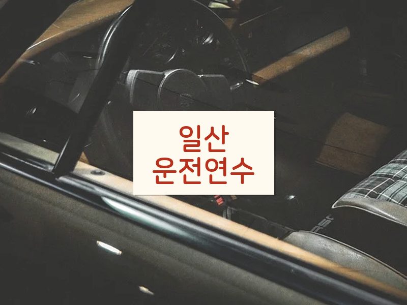 일산운전연수 후기