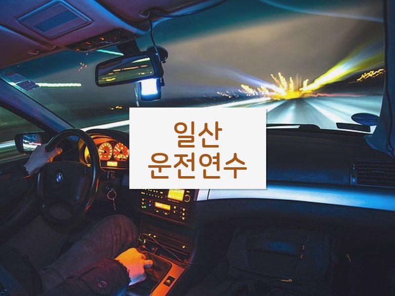 일산운전연수 후기