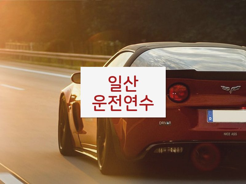 일산운전연수 후기