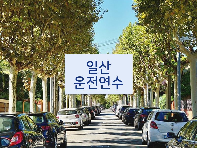 일산운전연수 후기