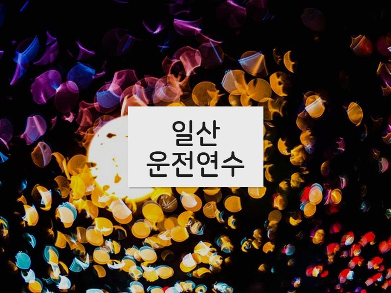 일산운전연수 후기