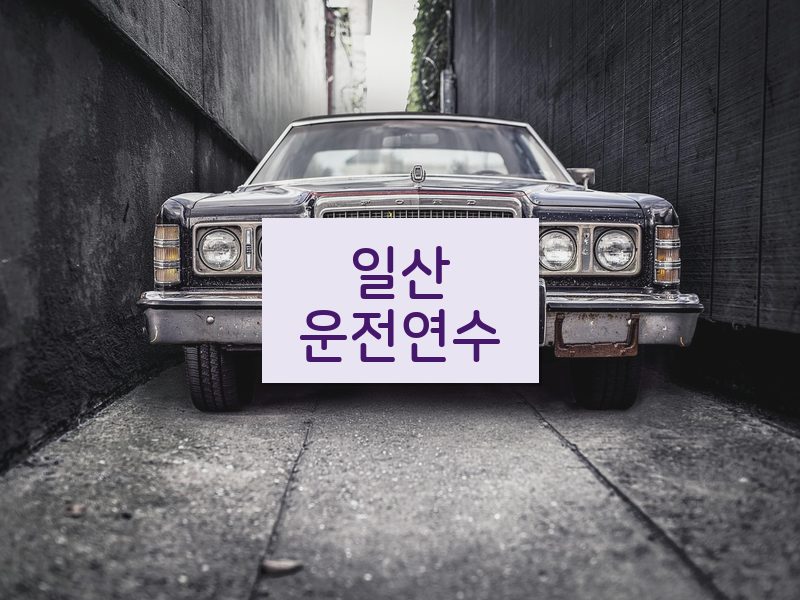 일산운전연수 후기