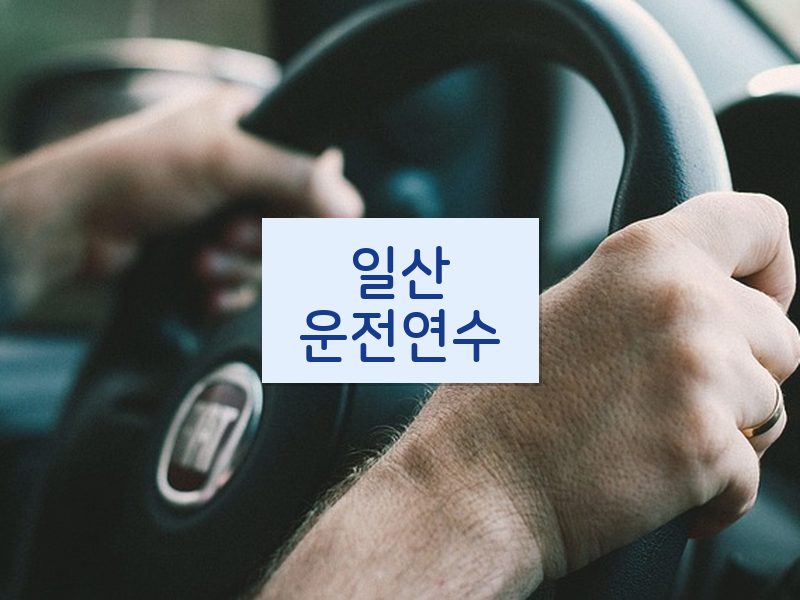 일산운전연수 후기