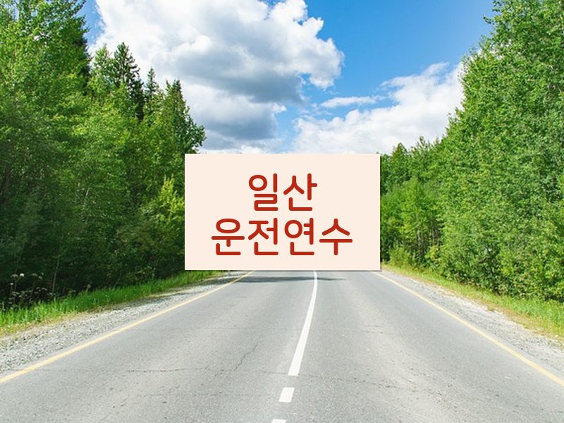 일산운전연수 후기