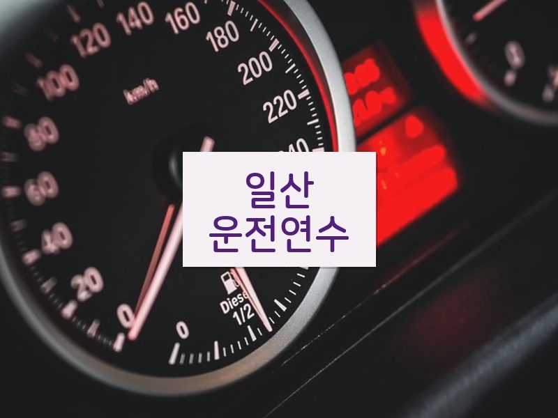 일산운전연수 후기