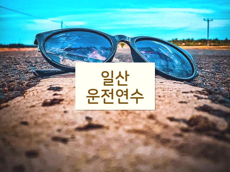 일산운전연수 후기