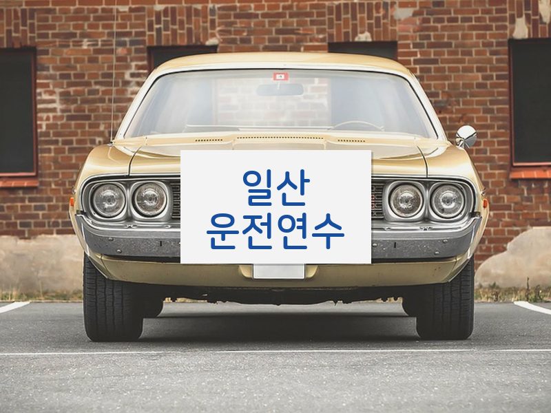 일산운전연수 후기