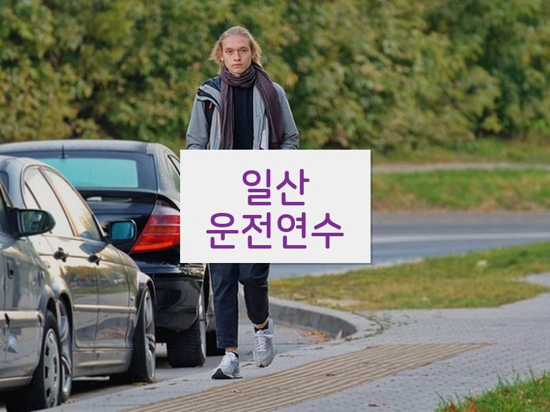 일산운전연수 후기