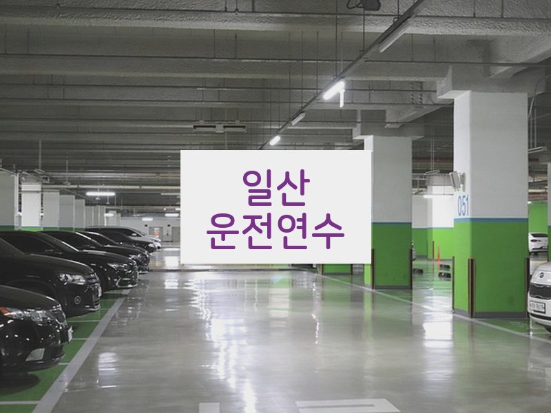 일산운전연수 후기