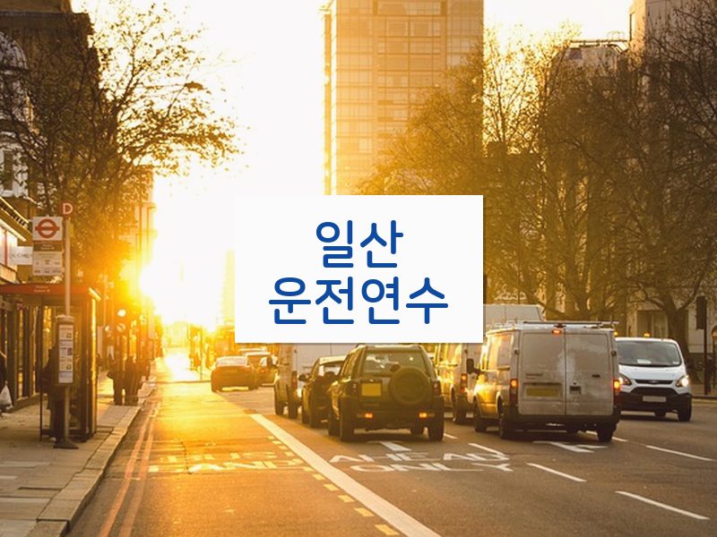 일산운전연수 후기
