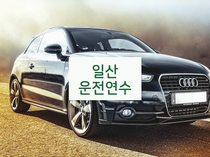 일산운전연수 후기