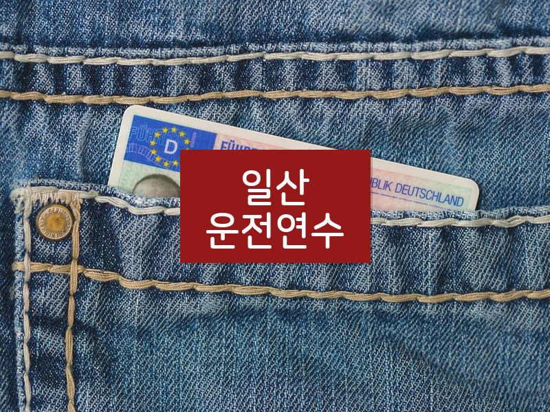 일산운전연수 후기