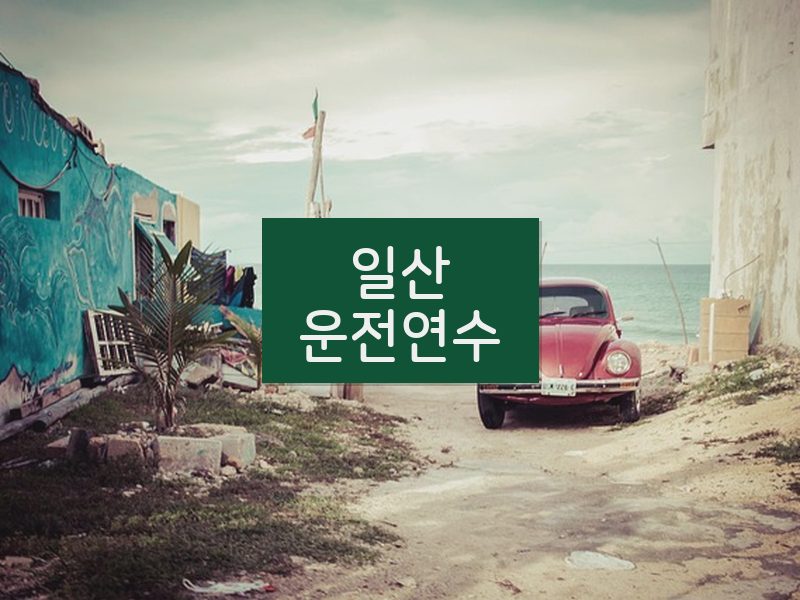 일산운전연수 후기