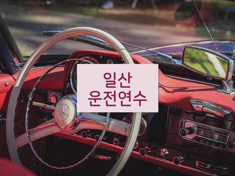 일산운전연수 후기