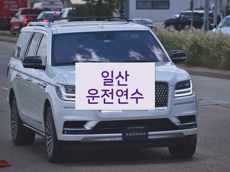 일산운전연수 후기