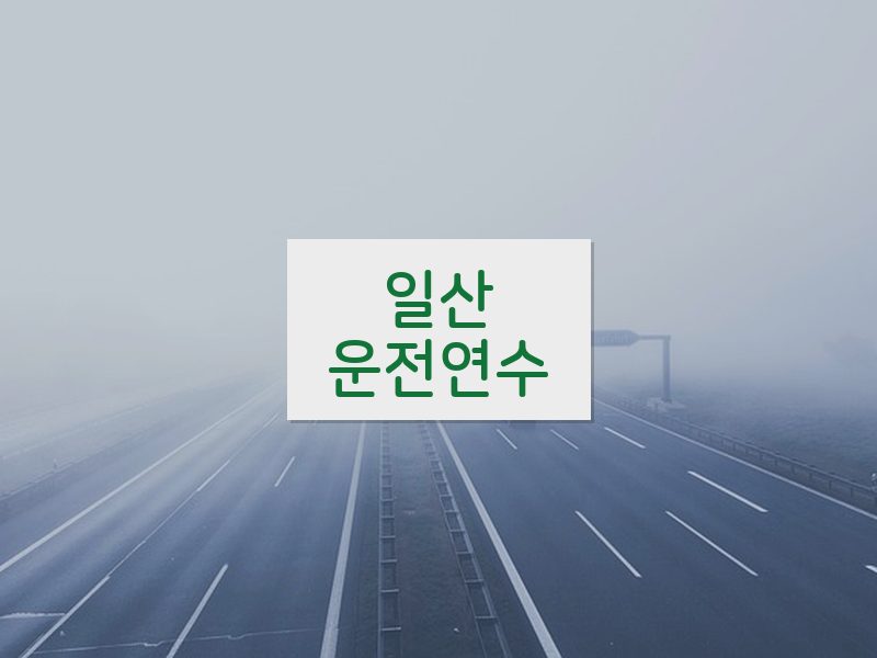 일산운전연수 후기