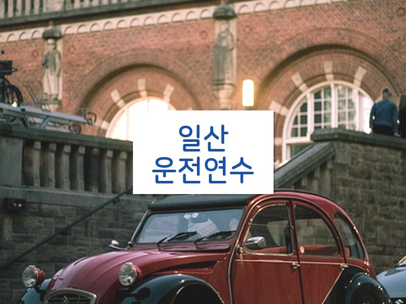 일산운전연수 후기