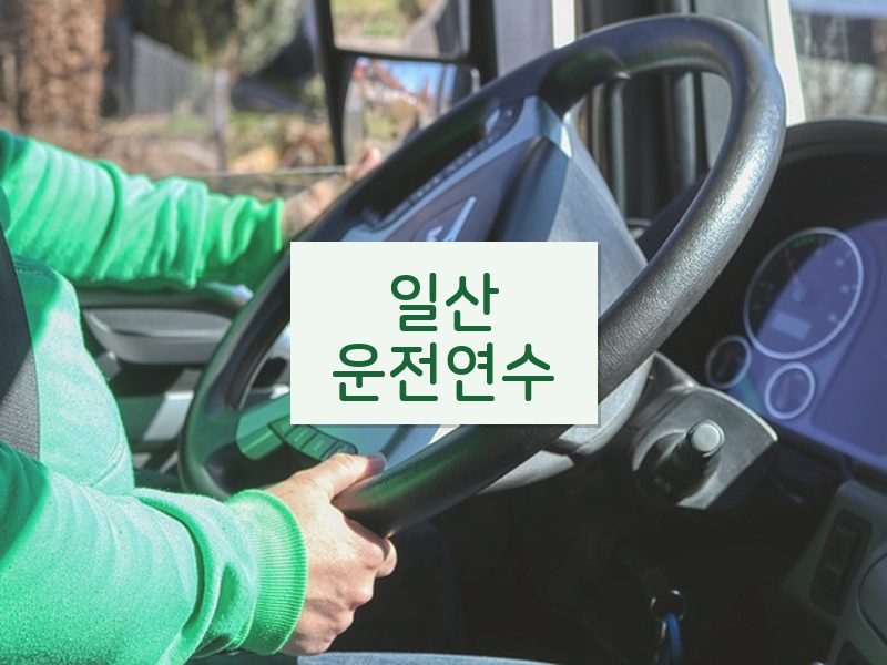 일산운전연수 후기