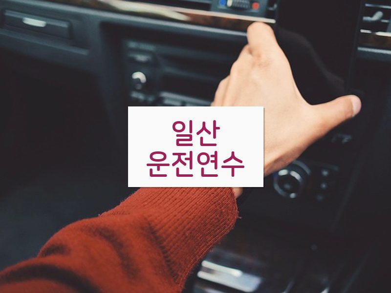 일산운전연수 후기