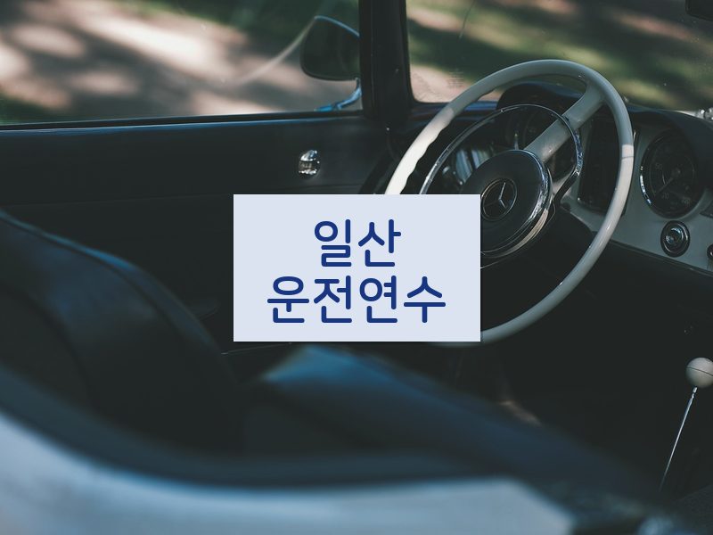 일산운전연수 후기