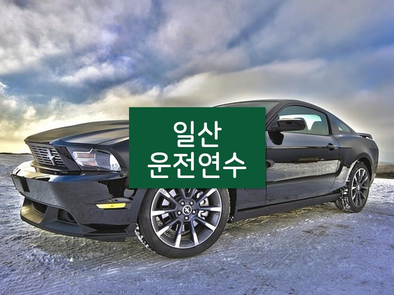 일산운전연수 후기