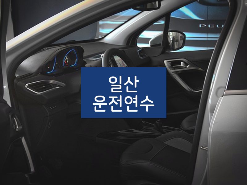 일산운전연수 후기